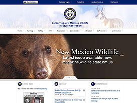 visit website